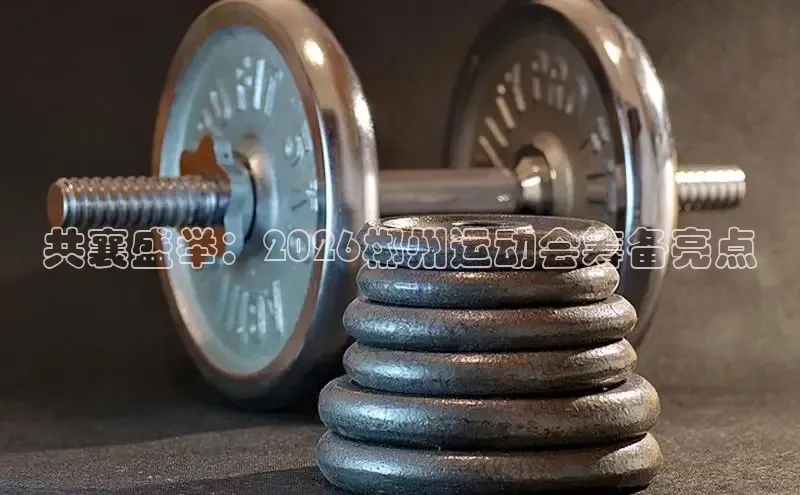 球速体育比分