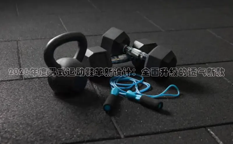 球速体育网页版