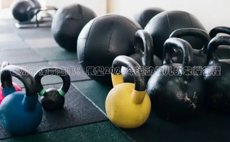 球速体育网站
